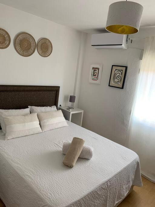 Harmony Room Malaga Piso Compartido Dış mekan fotoğraf